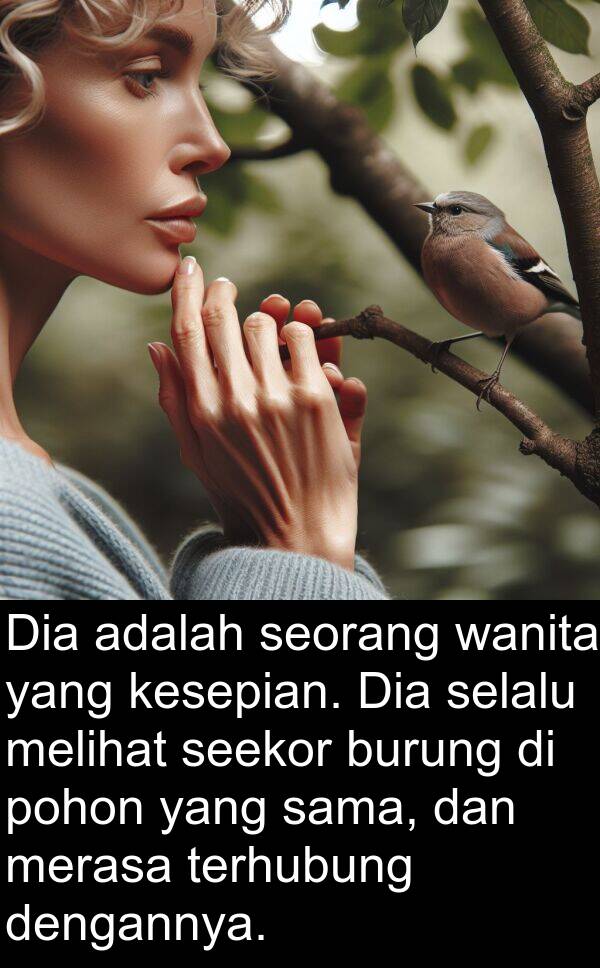 wanita: Dia adalah seorang wanita yang kesepian. Dia selalu melihat seekor burung di pohon yang sama, dan merasa terhubung dengannya.