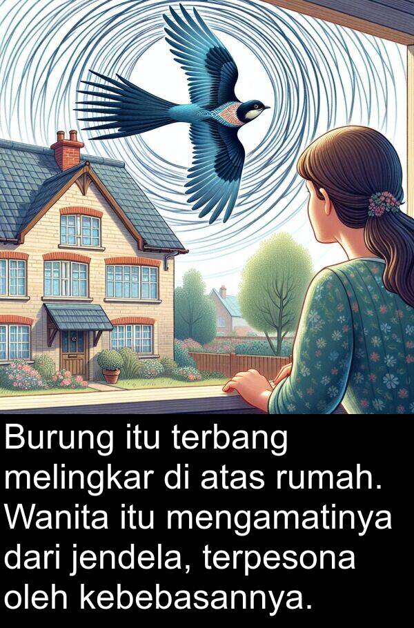 kebebasannya: Burung itu terbang melingkar di atas rumah. Wanita itu mengamatinya dari jendela, terpesona oleh kebebasannya.