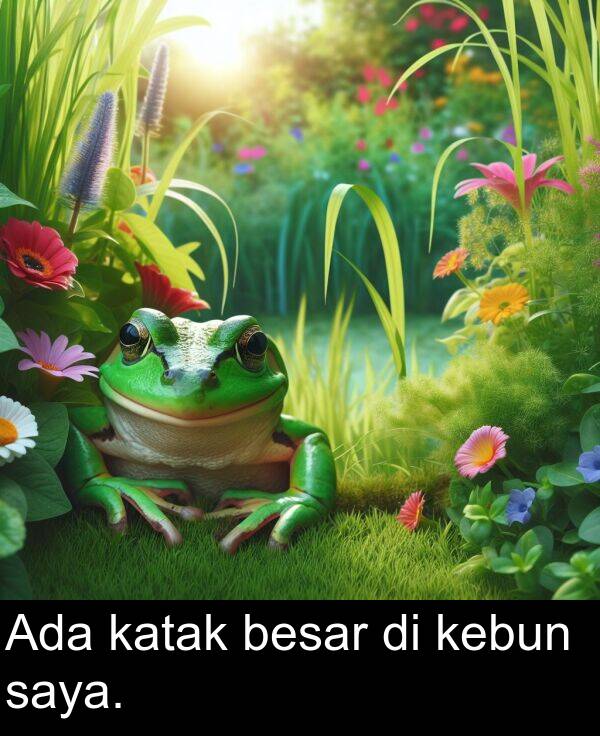 kebun: Ada katak besar di kebun saya.