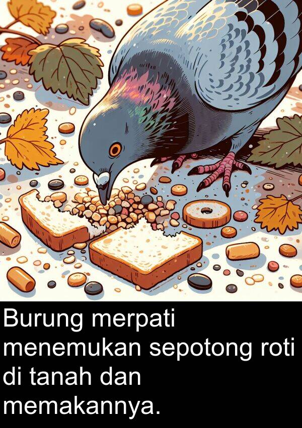 roti: Burung merpati menemukan sepotong roti di tanah dan memakannya.