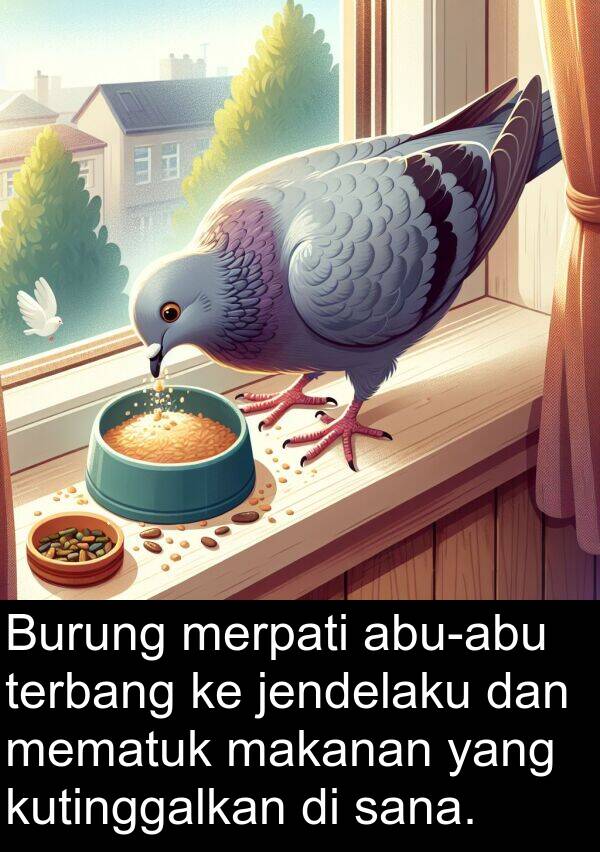 terbang: Burung merpati abu-abu terbang ke jendelaku dan mematuk makanan yang kutinggalkan di sana.