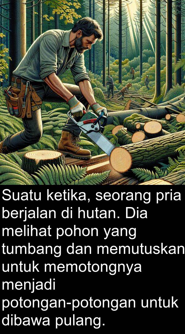 dibawa: Suatu ketika, seorang pria berjalan di hutan. Dia melihat pohon yang tumbang dan memutuskan untuk memotongnya menjadi potongan-potongan untuk dibawa pulang.