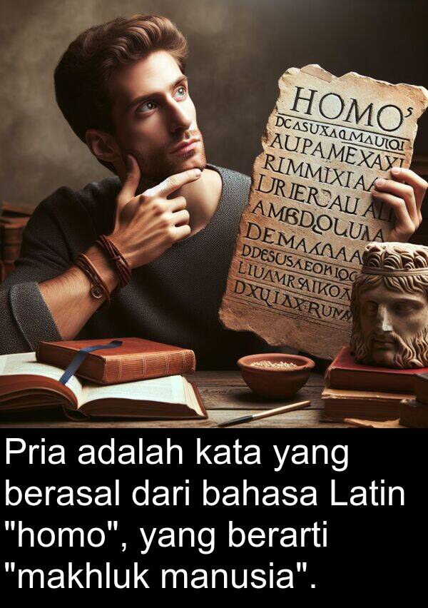 kata: Pria adalah kata yang berasal dari bahasa Latin "homo", yang berarti "makhluk manusia".