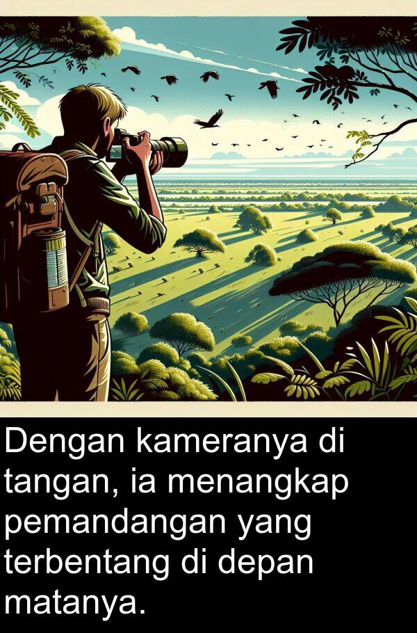 pemandangan: Dengan kameranya di tangan, ia menangkap pemandangan yang terbentang di depan matanya.