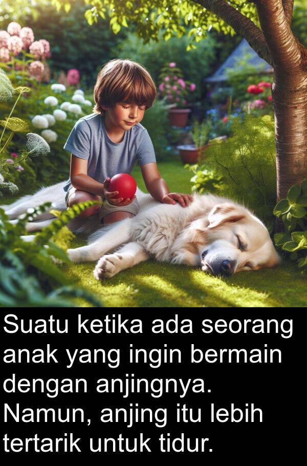 anak: Suatu ketika ada seorang anak yang ingin bermain dengan anjingnya. Namun, anjing itu lebih tertarik untuk tidur.