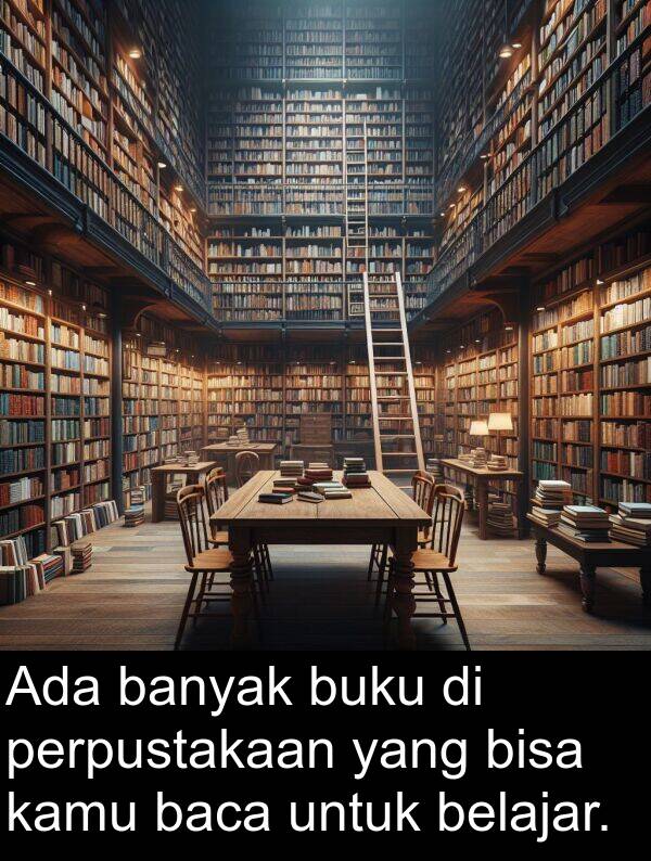 kamu: Ada banyak buku di perpustakaan yang bisa kamu baca untuk belajar.