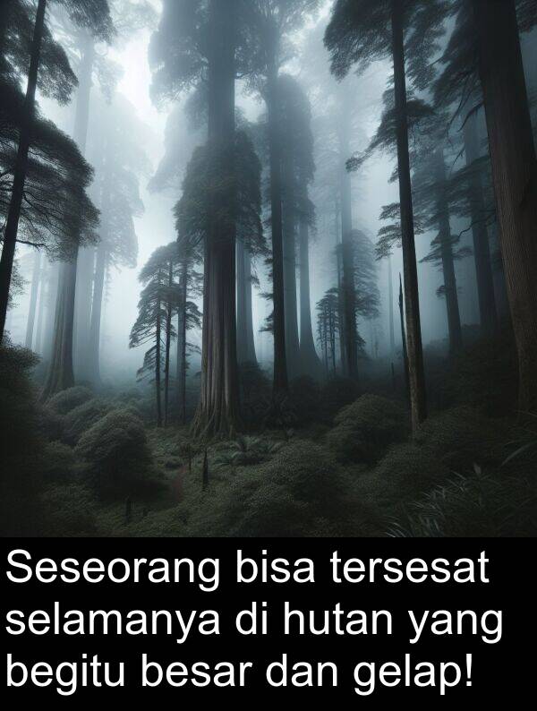 hutan: Seseorang bisa tersesat selamanya di hutan yang begitu besar dan gelap!