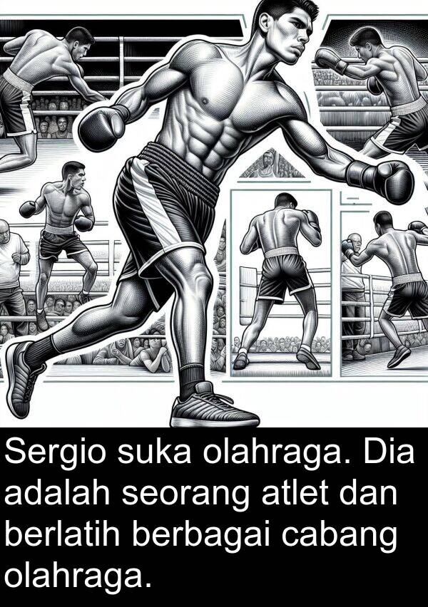 olahraga: Sergio suka olahraga. Dia adalah seorang atlet dan berlatih berbagai cabang olahraga.