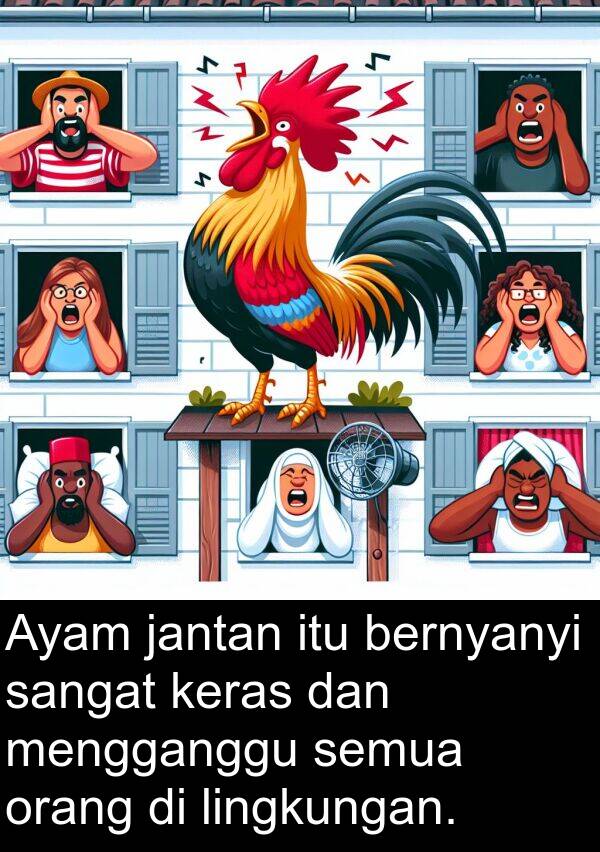 lingkungan: Ayam jantan itu bernyanyi sangat keras dan mengganggu semua orang di lingkungan.