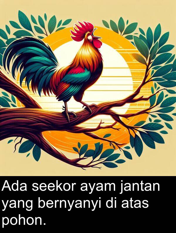 jantan: Ada seekor ayam jantan yang bernyanyi di atas pohon.