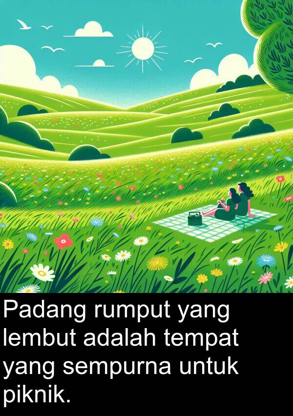 rumput: Padang rumput yang lembut adalah tempat yang sempurna untuk piknik.