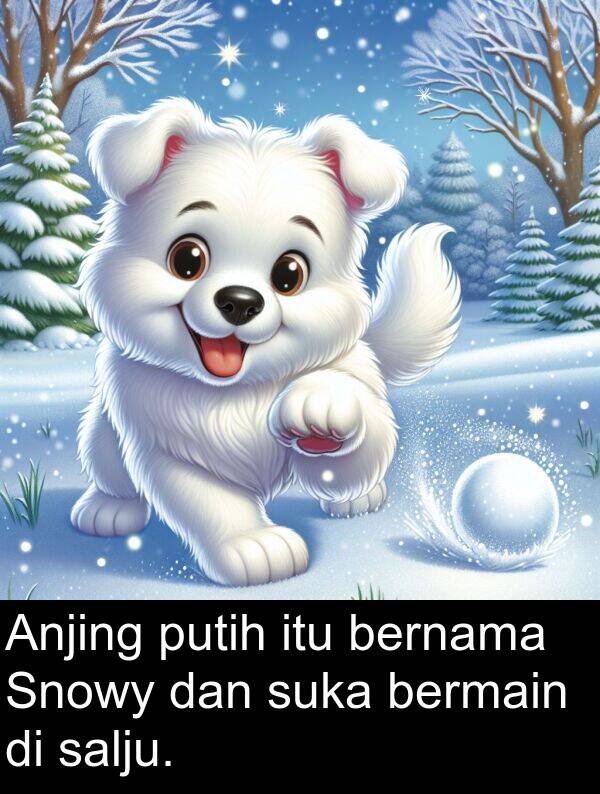 salju: Anjing putih itu bernama Snowy dan suka bermain di salju.