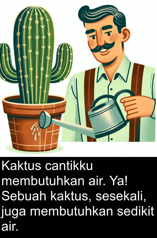 cantikku: Kaktus cantikku membutuhkan air. Ya! Sebuah kaktus, sesekali, juga membutuhkan sedikit air.