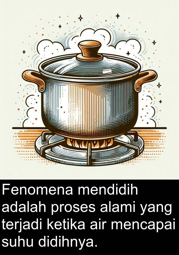 didihnya: Fenomena mendidih adalah proses alami yang terjadi ketika air mencapai suhu didihnya.