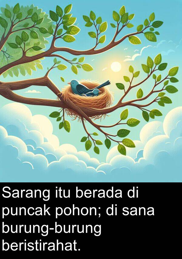 berada: Sarang itu berada di puncak pohon; di sana burung-burung beristirahat.