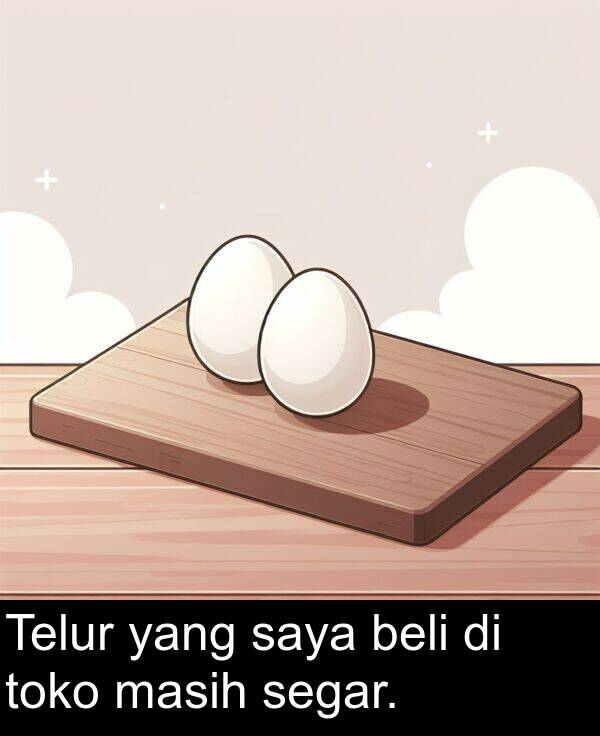 yang: Telur yang saya beli di toko masih segar.