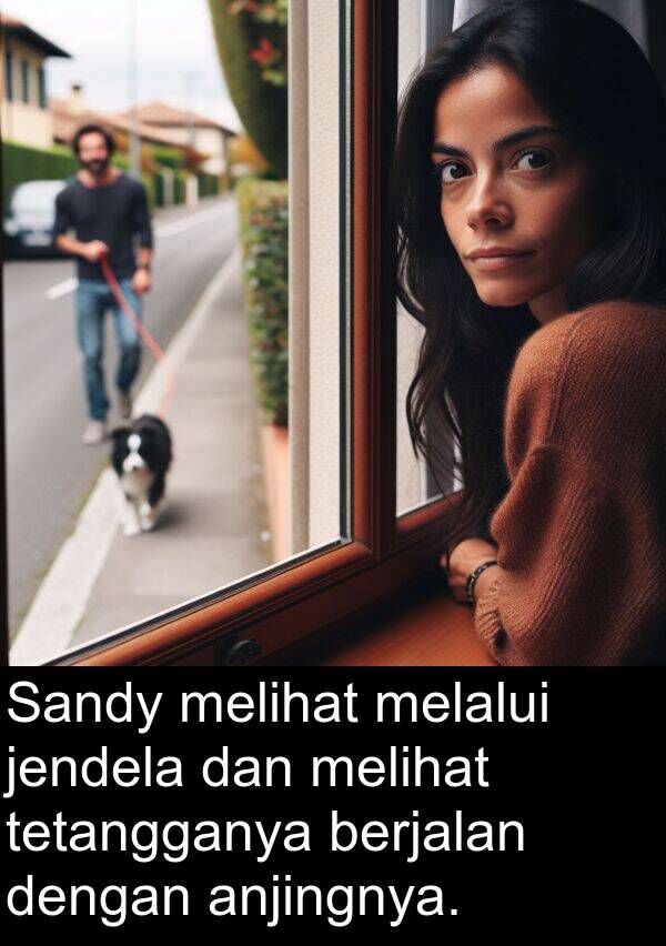 melalui: Sandy melihat melalui jendela dan melihat tetangganya berjalan dengan anjingnya.