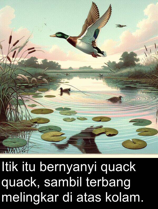 quack: Itik itu bernyanyi quack quack, sambil terbang melingkar di atas kolam.