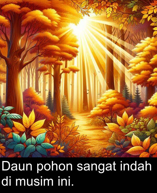 sangat: Daun pohon sangat indah di musim ini.