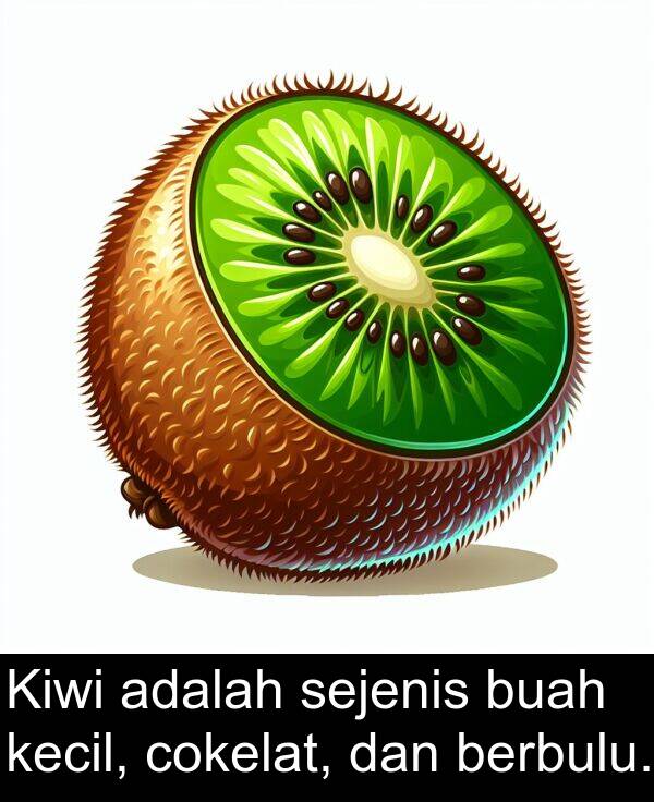 cokelat: Kiwi adalah sejenis buah kecil, cokelat, dan berbulu.