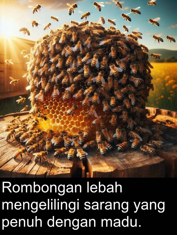 lebah: Rombongan lebah mengelilingi sarang yang penuh dengan madu.