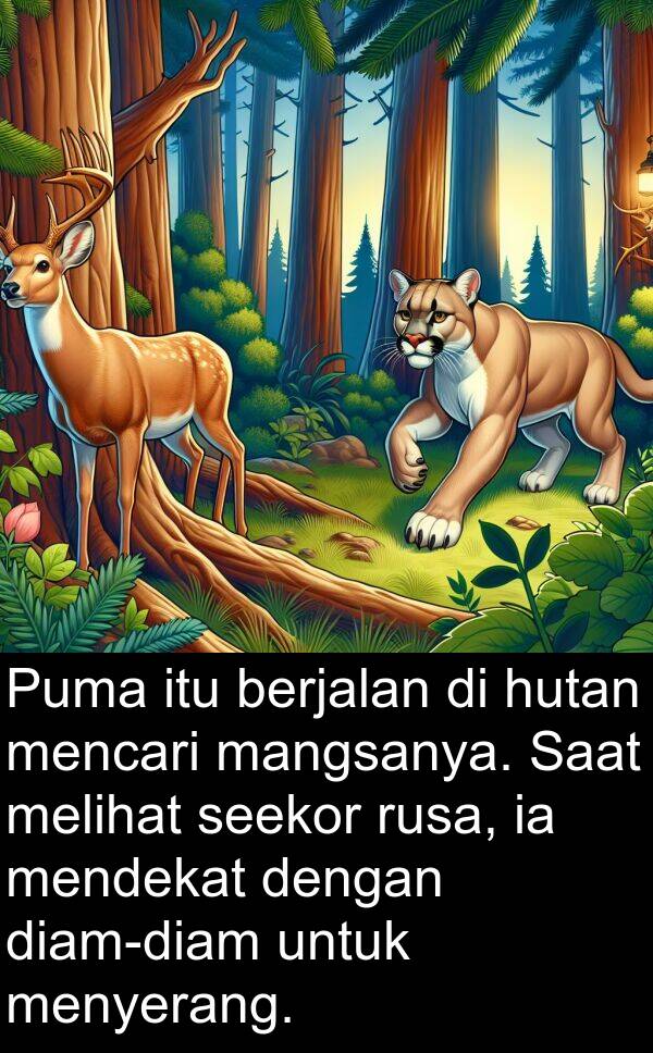 rusa: Puma itu berjalan di hutan mencari mangsanya. Saat melihat seekor rusa, ia mendekat dengan diam-diam untuk menyerang.