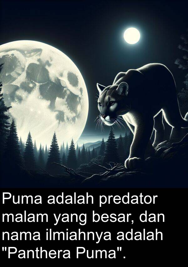 nama: Puma adalah predator malam yang besar, dan nama ilmiahnya adalah "Panthera Puma".