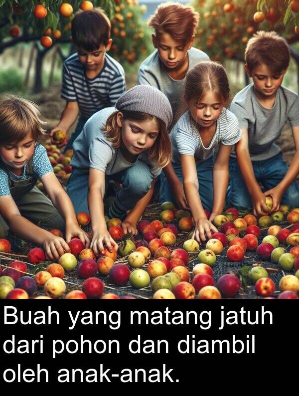 oleh: Buah yang matang jatuh dari pohon dan diambil oleh anak-anak.