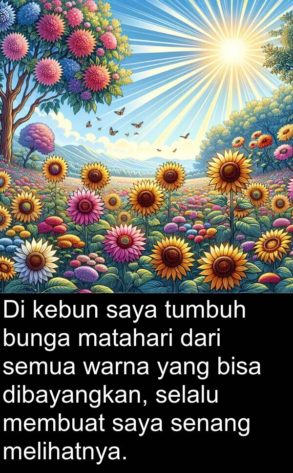 warna: Di kebun saya tumbuh bunga matahari dari semua warna yang bisa dibayangkan, selalu membuat saya senang melihatnya.