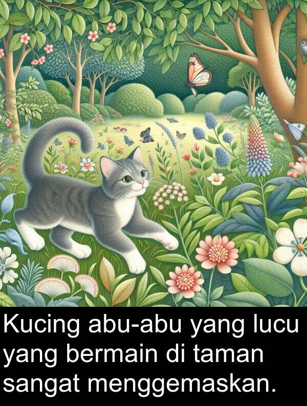 lucu: Kucing abu-abu yang lucu yang bermain di taman sangat menggemaskan.