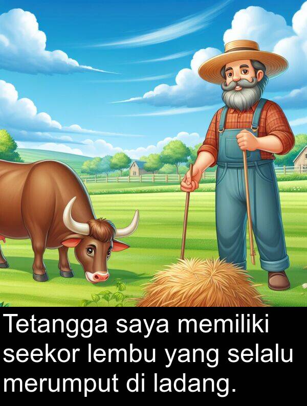 lembu: Tetangga saya memiliki seekor lembu yang selalu merumput di ladang.