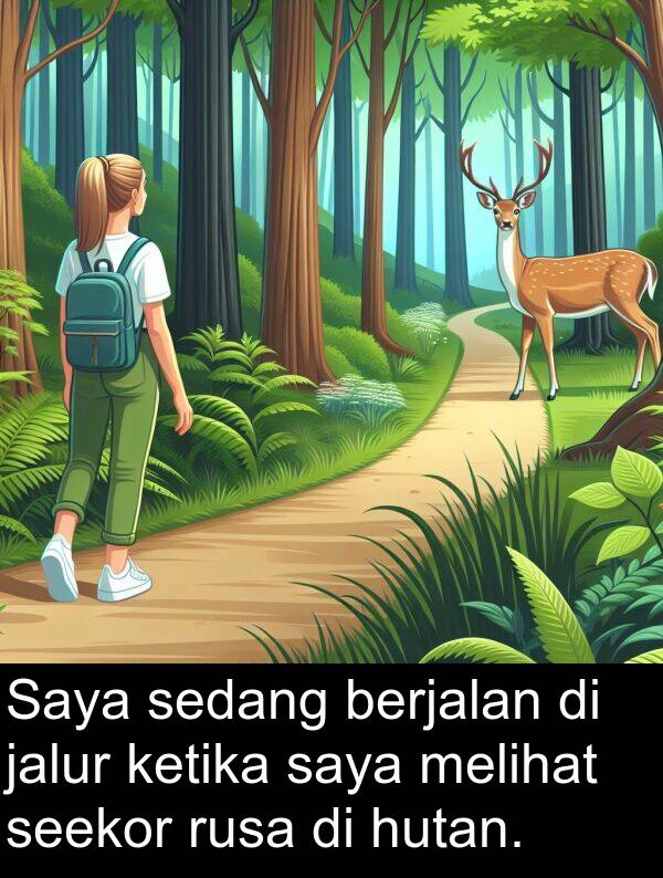 rusa: Saya sedang berjalan di jalur ketika saya melihat seekor rusa di hutan.