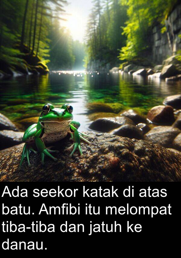 katak: Ada seekor katak di atas batu. Amfibi itu melompat tiba-tiba dan jatuh ke danau.