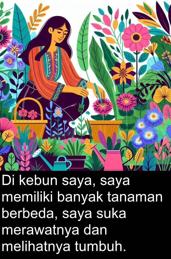 kebun: Di kebun saya, saya memiliki banyak tanaman berbeda, saya suka merawatnya dan melihatnya tumbuh.