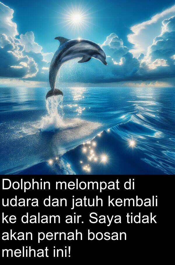 kembali: Dolphin melompat di udara dan jatuh kembali ke dalam air. Saya tidak akan pernah bosan melihat ini!