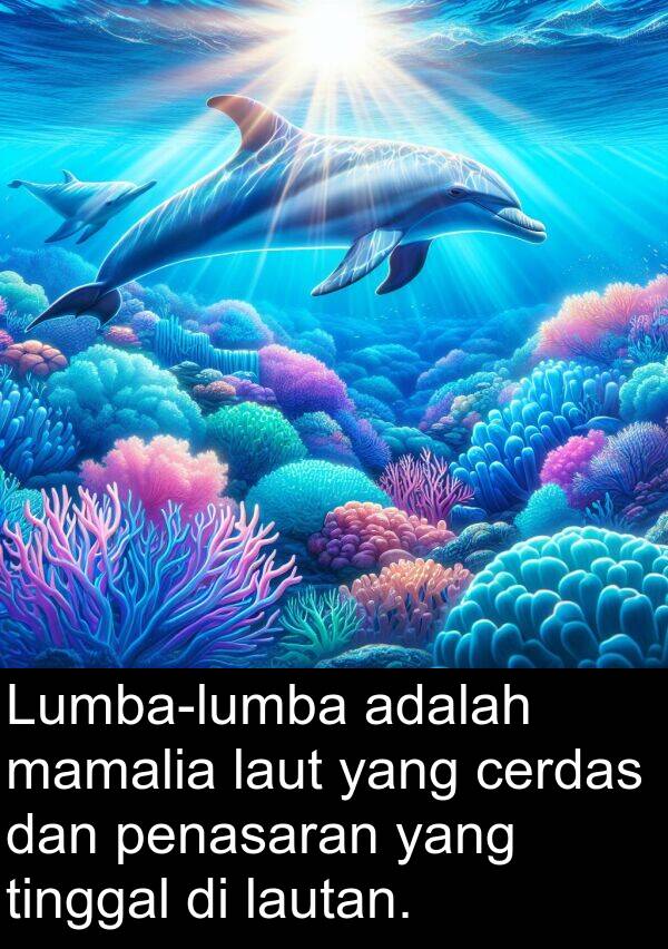 laut: Lumba-lumba adalah mamalia laut yang cerdas dan penasaran yang tinggal di lautan.