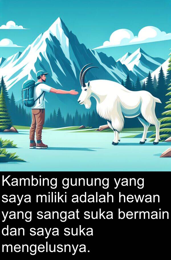 gunung: Kambing gunung yang saya miliki adalah hewan yang sangat suka bermain dan saya suka mengelusnya.