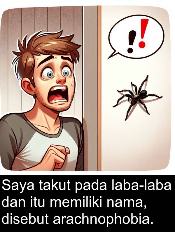 takut: Saya takut pada laba-laba dan itu memiliki nama, disebut arachnophobia.