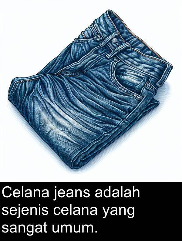 celana: Celana jeans adalah sejenis celana yang sangat umum.