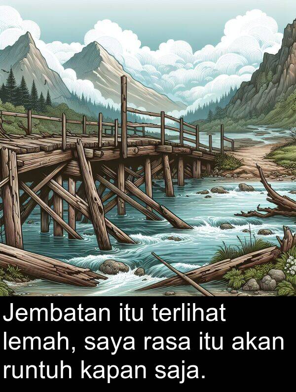 runtuh: Jembatan itu terlihat lemah, saya rasa itu akan runtuh kapan saja.