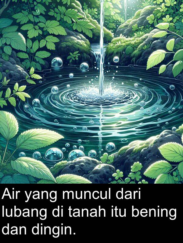 lubang: Air yang muncul dari lubang di tanah itu bening dan dingin.