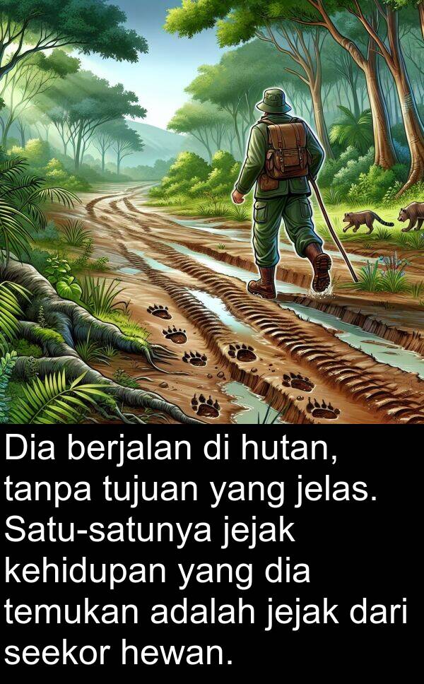 temukan: Dia berjalan di hutan, tanpa tujuan yang jelas. Satu-satunya jejak kehidupan yang dia temukan adalah jejak dari seekor hewan.