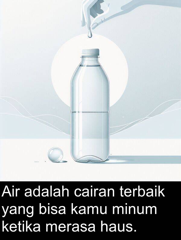 haus: Air adalah cairan terbaik yang bisa kamu minum ketika merasa haus.