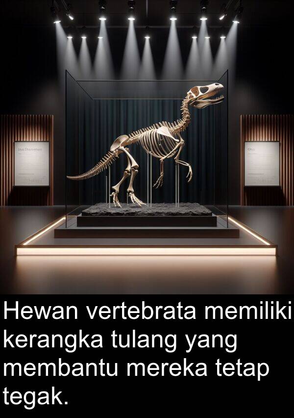 vertebrata: Hewan vertebrata memiliki kerangka tulang yang membantu mereka tetap tegak.