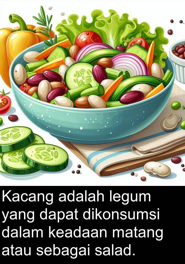 legum: Kacang adalah legum yang dapat dikonsumsi dalam keadaan matang atau sebagai salad.