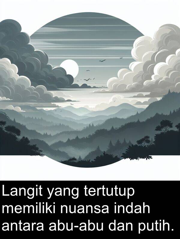 nuansa: Langit yang tertutup memiliki nuansa indah antara abu-abu dan putih.