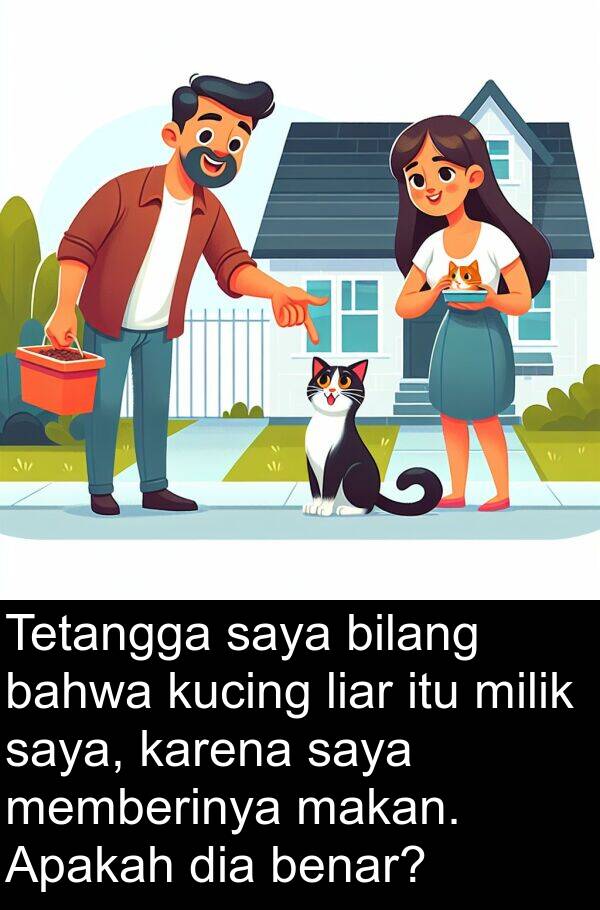 liar: Tetangga saya bilang bahwa kucing liar itu milik saya, karena saya memberinya makan. Apakah dia benar?