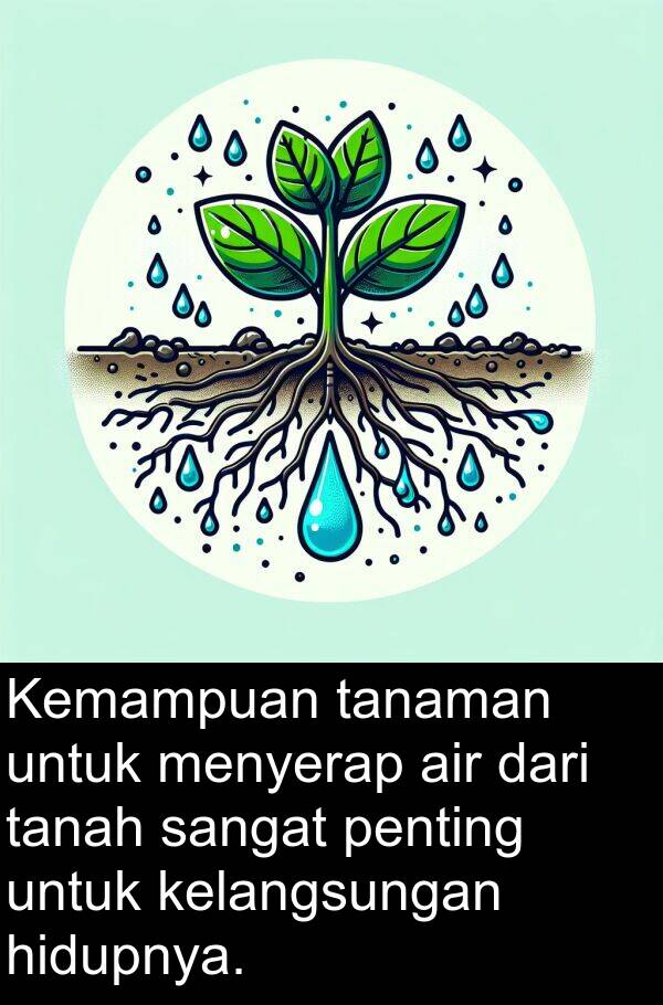 hidupnya: Kemampuan tanaman untuk menyerap air dari tanah sangat penting untuk kelangsungan hidupnya.