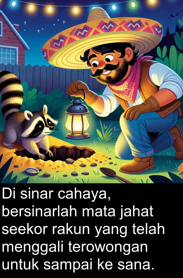 rakun: Di sinar cahaya, bersinarlah mata jahat seekor rakun yang telah menggali terowongan untuk sampai ke sana.