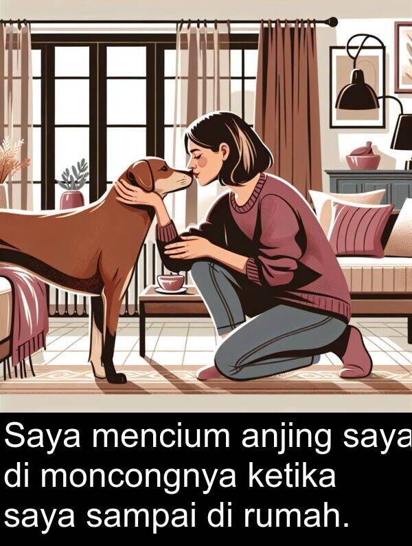 rumah: Saya mencium anjing saya di moncongnya ketika saya sampai di rumah.